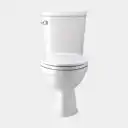 Western toilet replacement