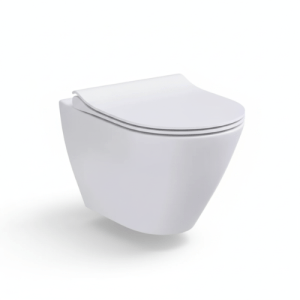 Western toilet installation (wall mounted)